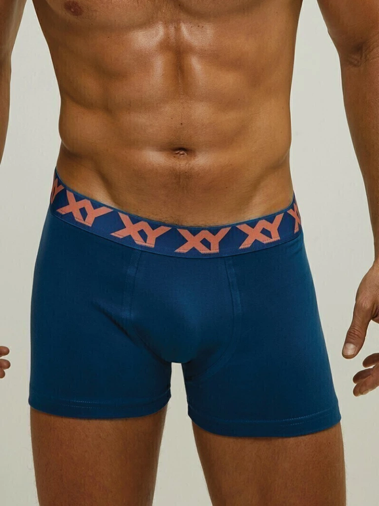 1387-azul-21-b6a53238d10015384d16959258747844-1024-1024.webp