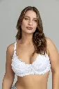 501.webp