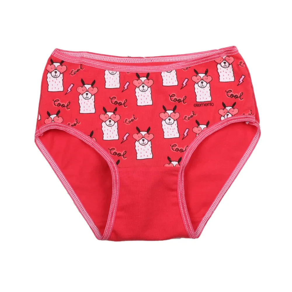 Bombacha-Ni-a-Trendy-Elemento-502-t-2-Pe-3-253415.webp